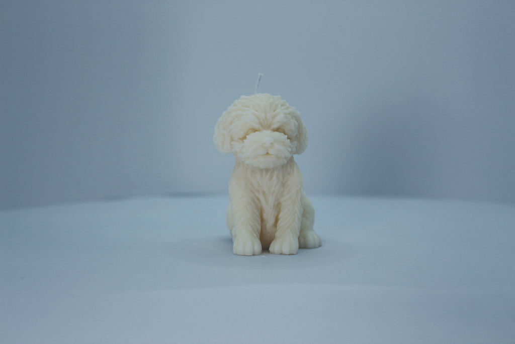 Kerze "Hundi"